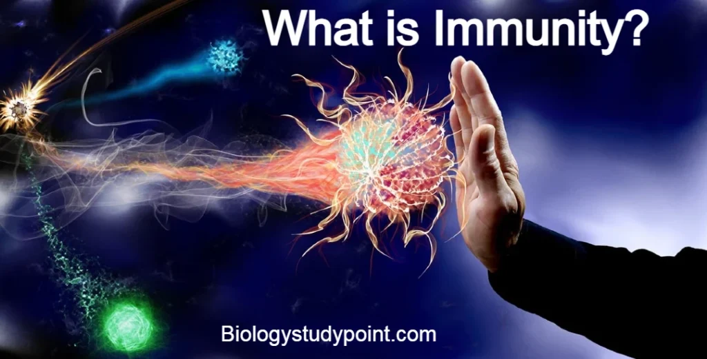 What is immunity?