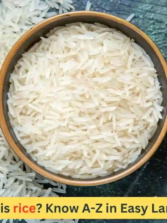 what is rice