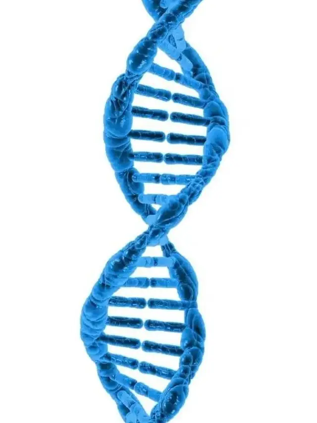 Chromosomal aberrations