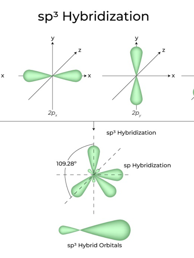 hybridization