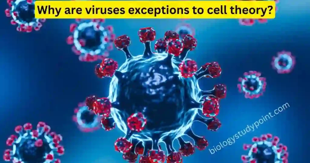 Why are viruses exceptions to cell theory