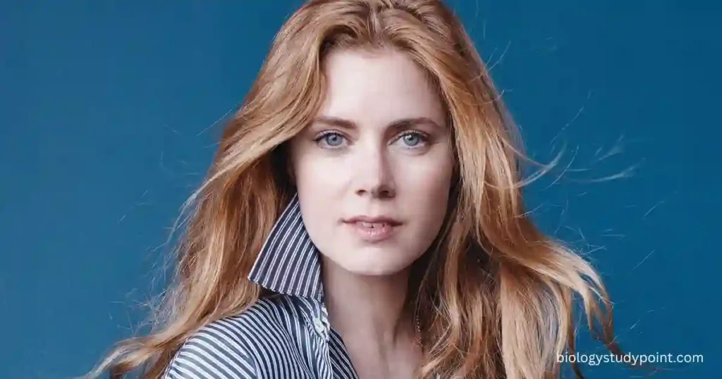 Amy Adams Net Worth