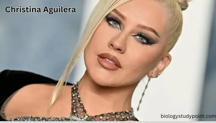 Christina Aguilera net worth