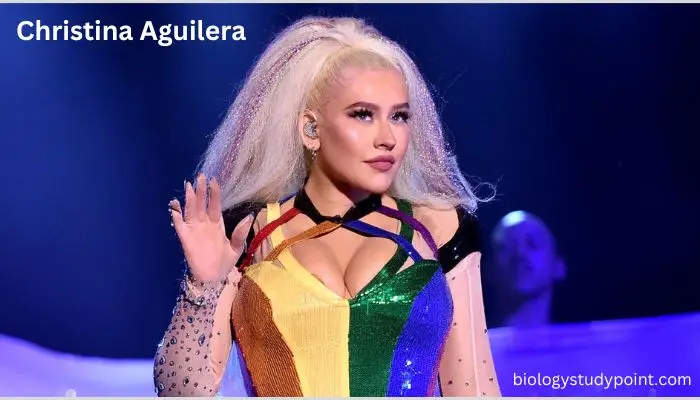 Christina Aguilera net worth