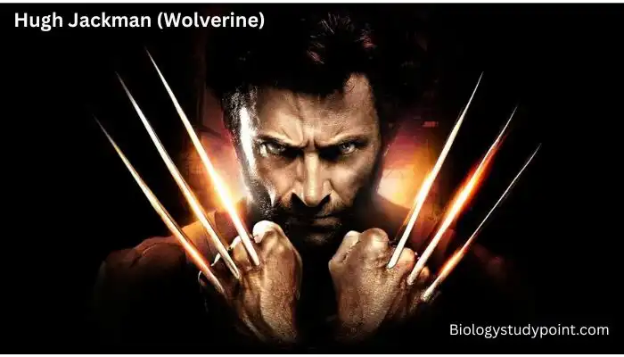 Hugh Jackman: Biography, Net Worth, Age, Height, Wife, Kids, Movies, 