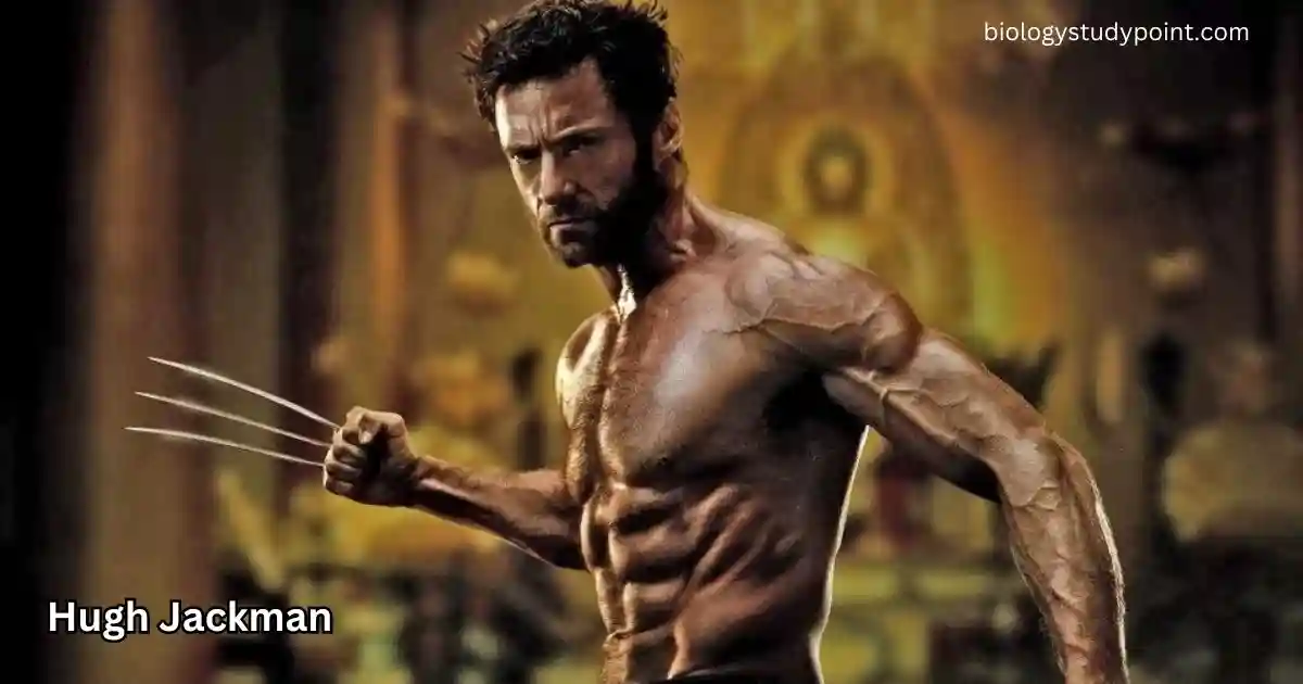 Hugh Jackman