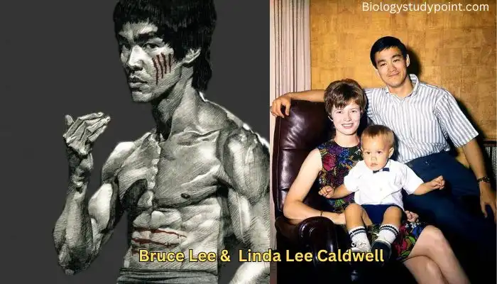 Bruce Lee Bio, Net Worth, Wife, Son, Daughter, Height, Movie, Death, 