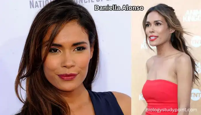 Daniella Alonso: Biography, Net Worth, Husband, Age, Family,