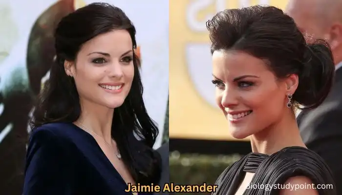 Jaimie Alexander: Bio, Net Worth, Husband, Height, Relationship, Movies & TV Shows