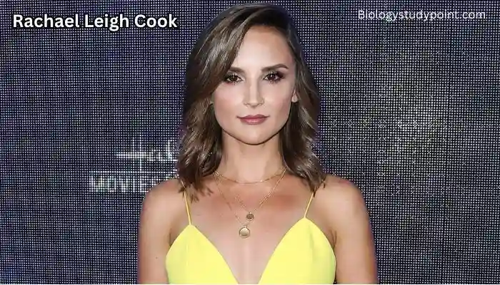 Rachael Leigh Cook: Bio, Husband, Net Worth, Height, Children, Movies, and TV Shows