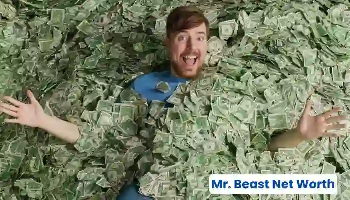 Mr Beast Net Worth