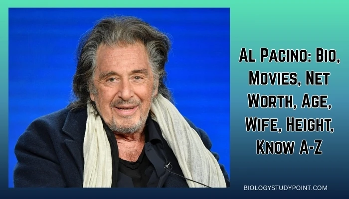 Al Pacino Bio,
