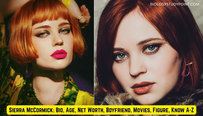 Sierra McCormick: Bio, Age, Net Worth, Boyfriend, Movies, Figure, Know A-Z